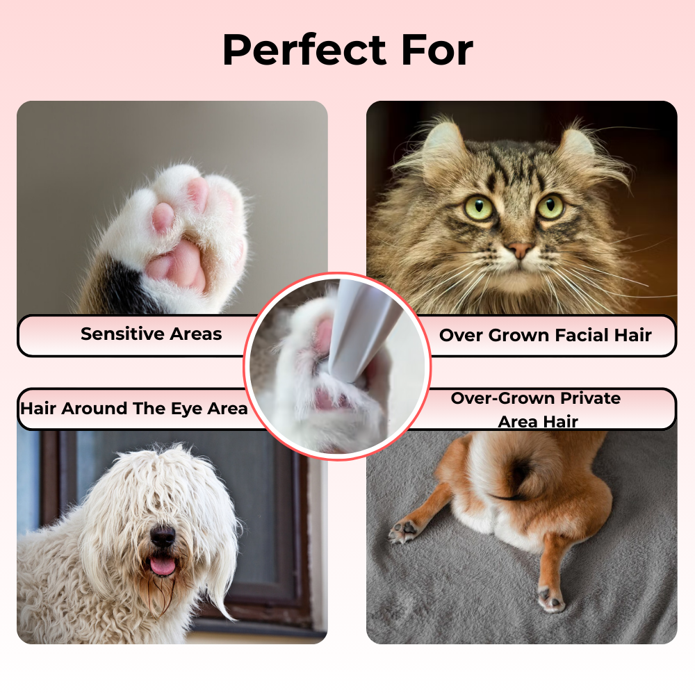 Calm Pet Groomer ™ (Copy)