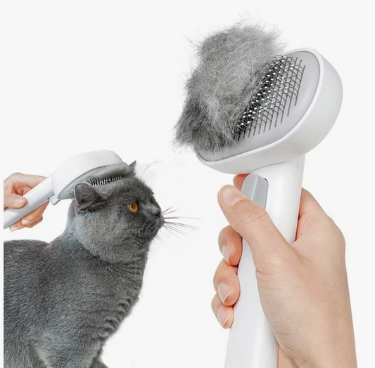 Free Pet grooming brush